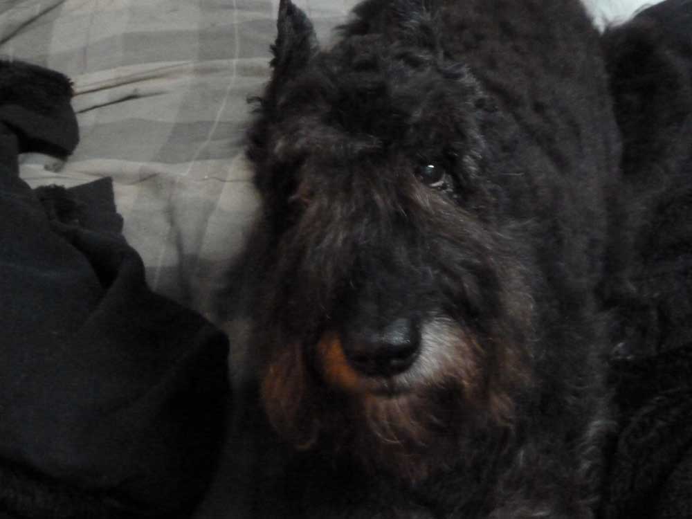Kuma beautiful at 16 years old